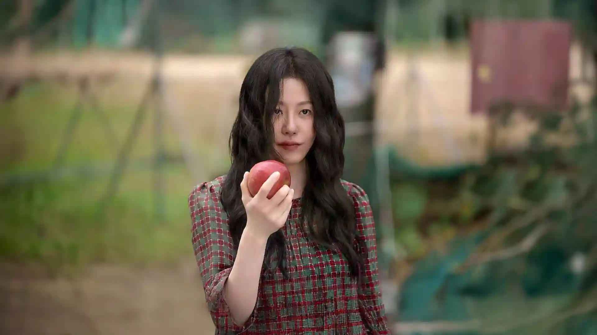 Backdrop phim Bọ Ngựa