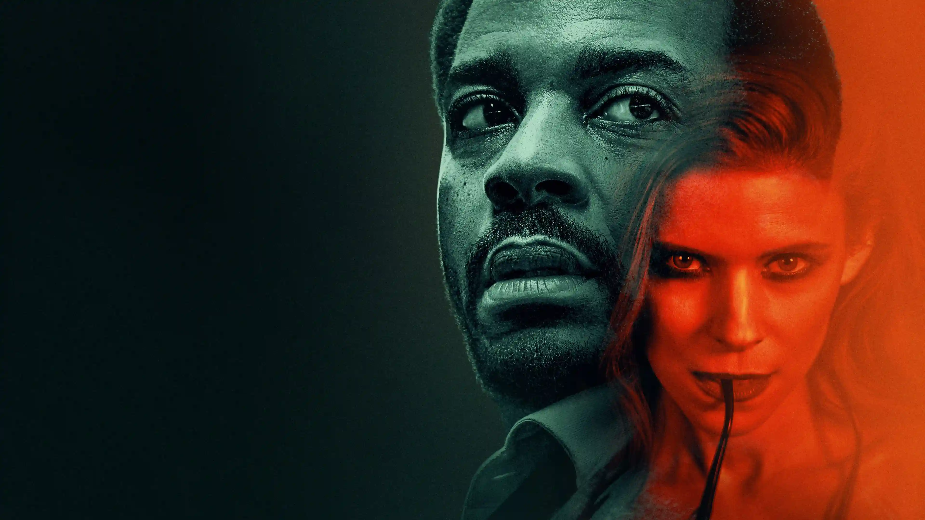 Backdrop phim Con Gà và Nắm Thóc