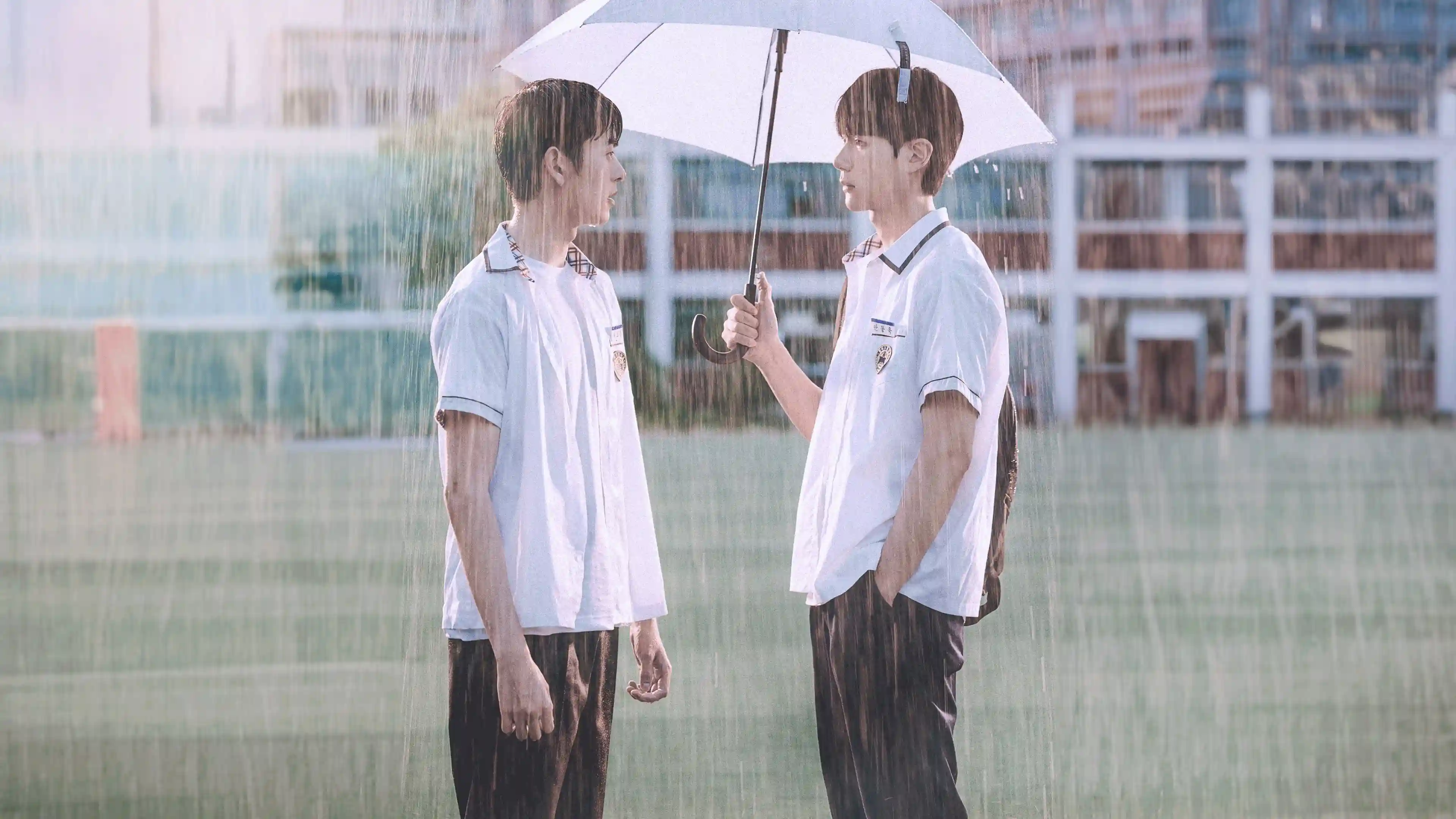 Backdrop phim Dự Báo Tình Yêu