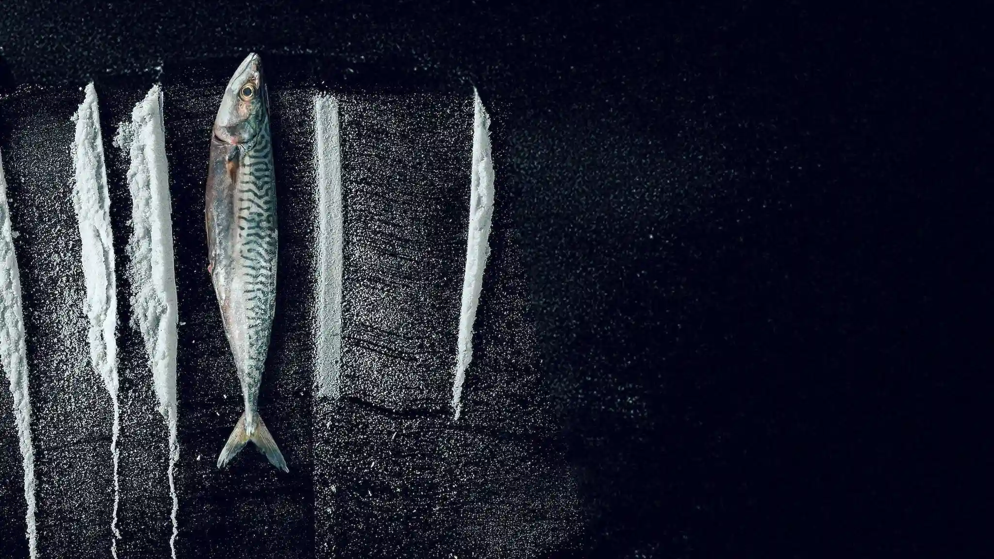 Backdrop phim Sống Triều Đổi Vận: Câu Chuyện Siêu Thực Tế Rabo de Peixe