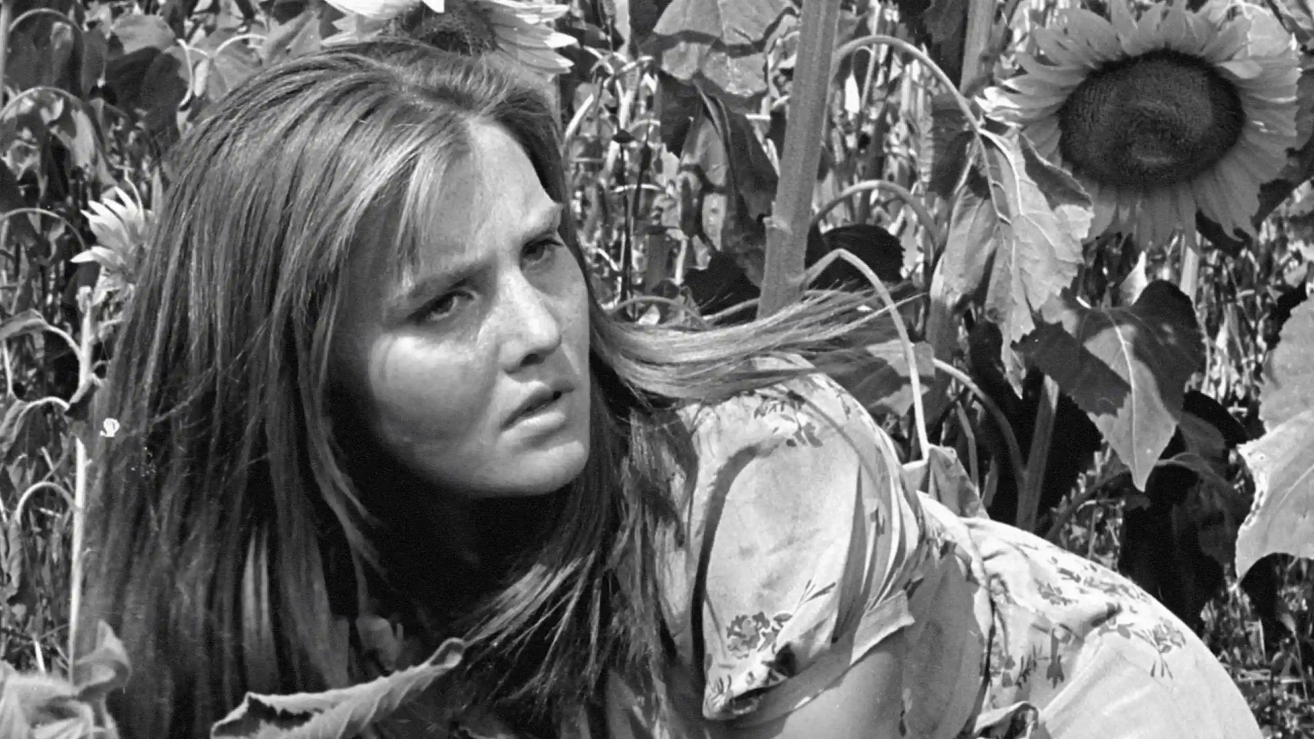 Backdrop phim Tấn công và rút lui