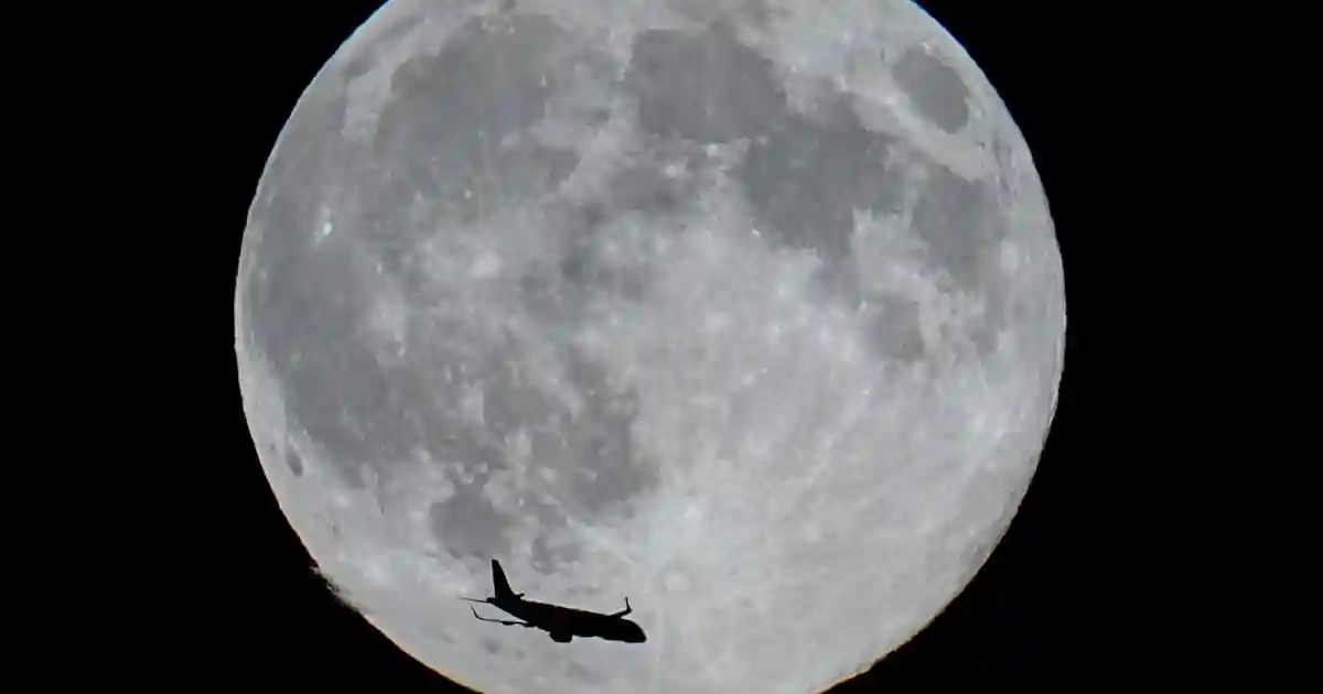 Tiệc Quái thú dưới ánh trăng